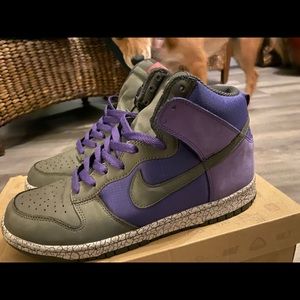 Earthquake Dunk Purple